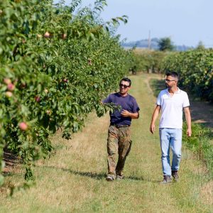 АНГАЖИРАНОСТ И ОТДАДЕНОСТ