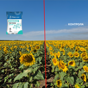 сн.1_Къпиново