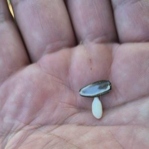 Сн.4-scaled-e1754568041494