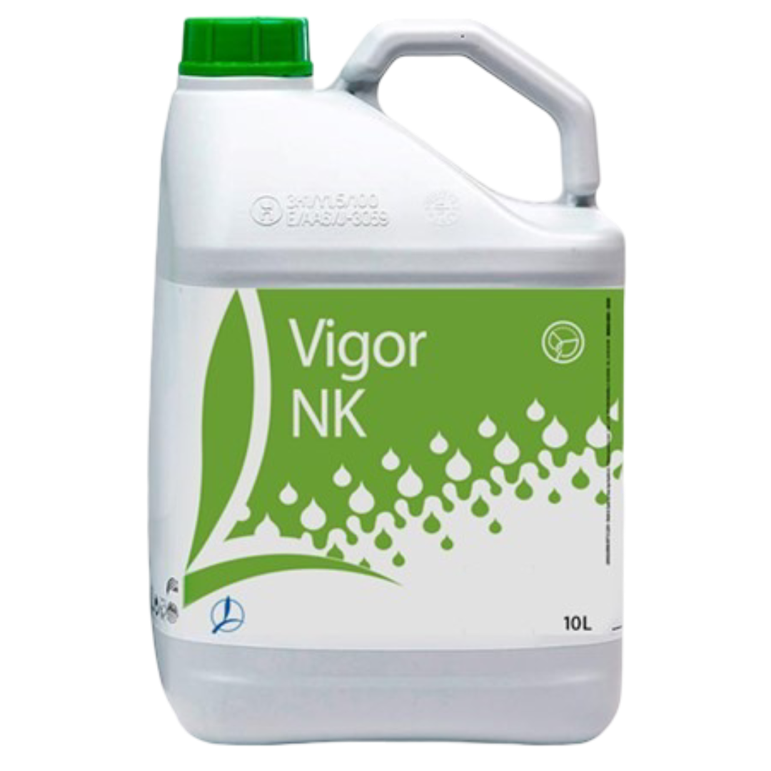 VIGOR NK