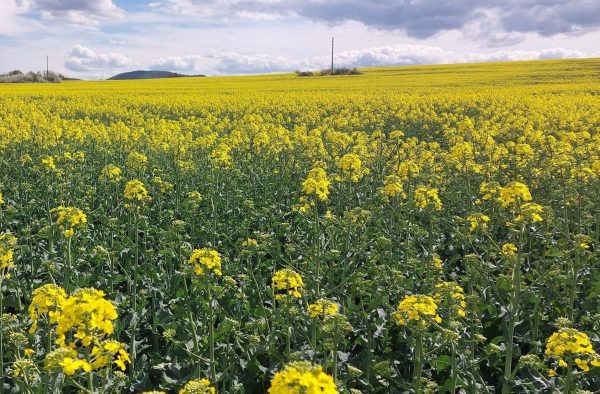 -3-05.04.24-г-scaled-e1713357793849