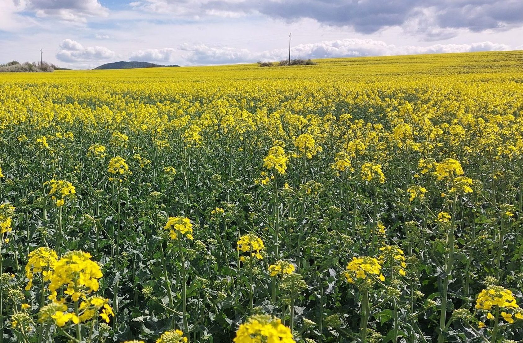 -3-05.04.24-г-scaled-e1713357793849