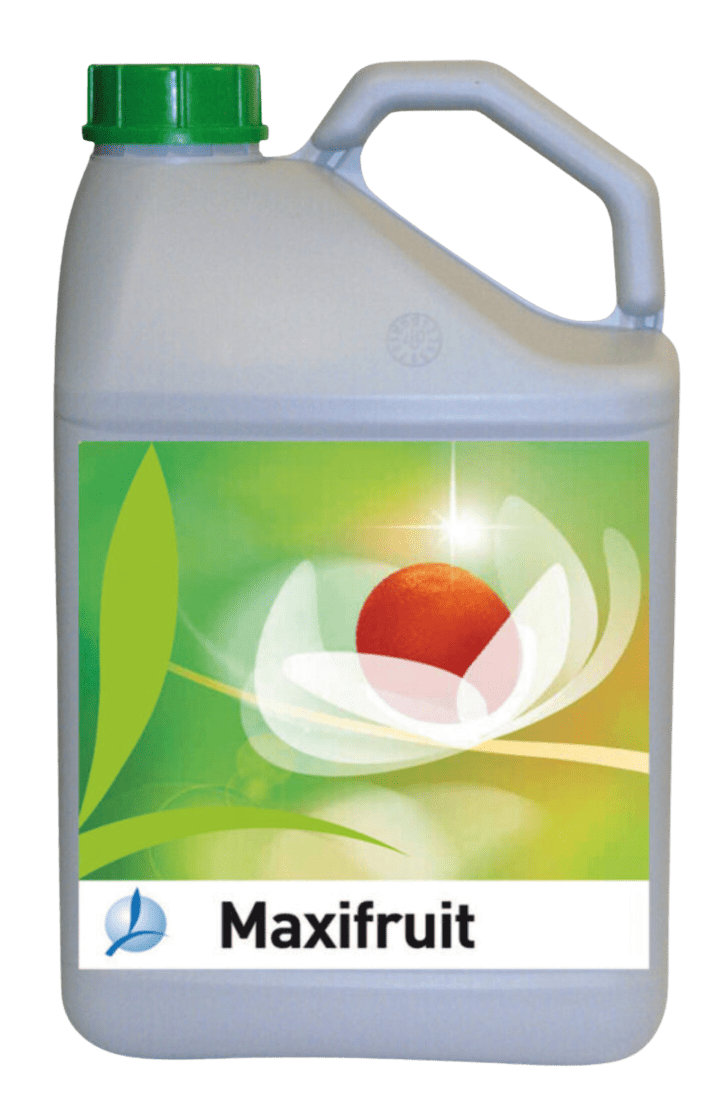 MAXIFRUIT