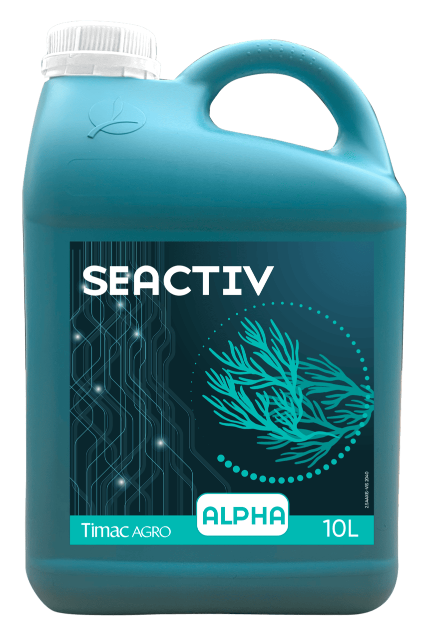 SEACTIV ALPHA