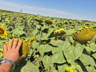 Сн.2-scaled